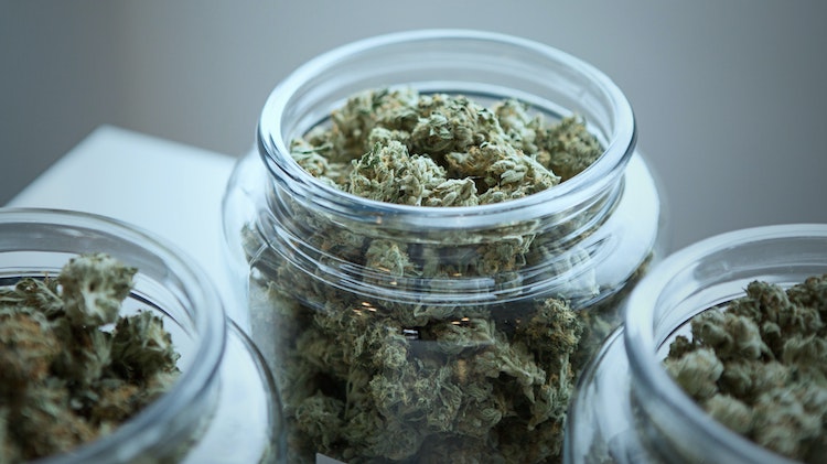 queensland cannabis laws