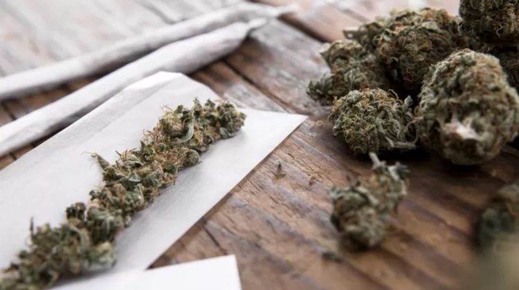 what is the difference between a drug diversion assessment program and drug diversion in QLD
